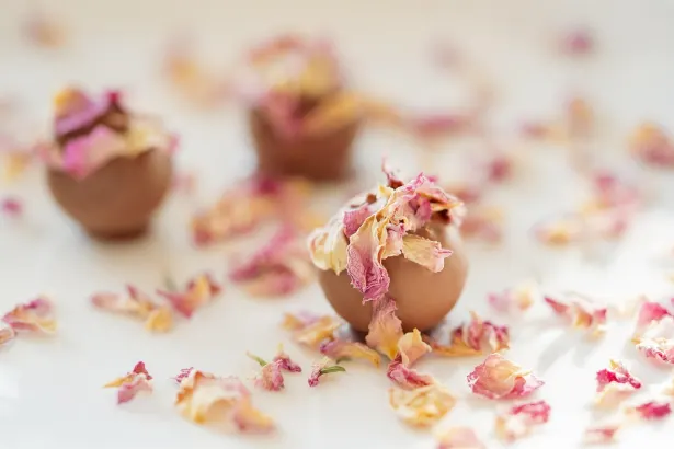 Moon Casino Aplicación Android/iOS